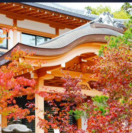 紅葉 Autumn leaves 木々の葉が赤や黄色に染まる風景